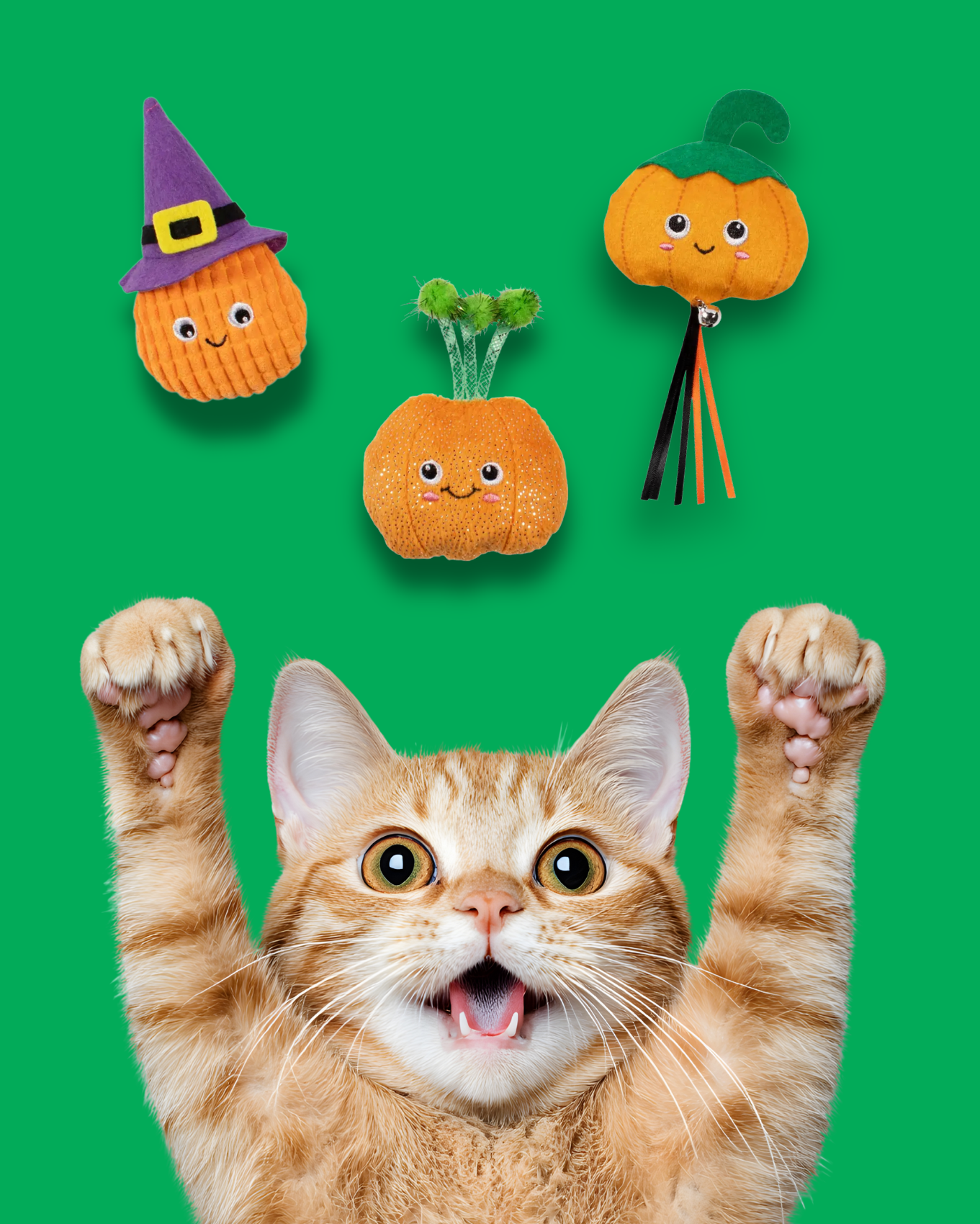 Assortiment de 3 citrouilles – Halloween 🎃