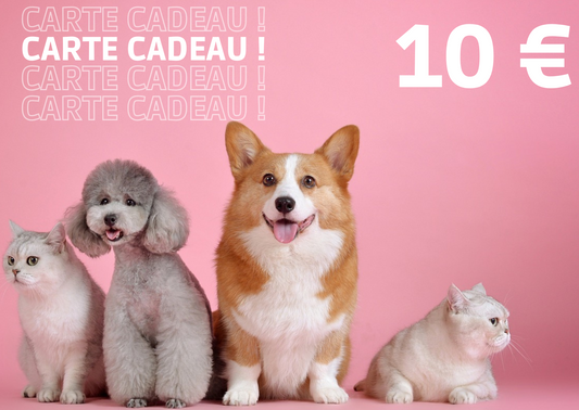 Carte Cadeau Carl & Paco 🎁