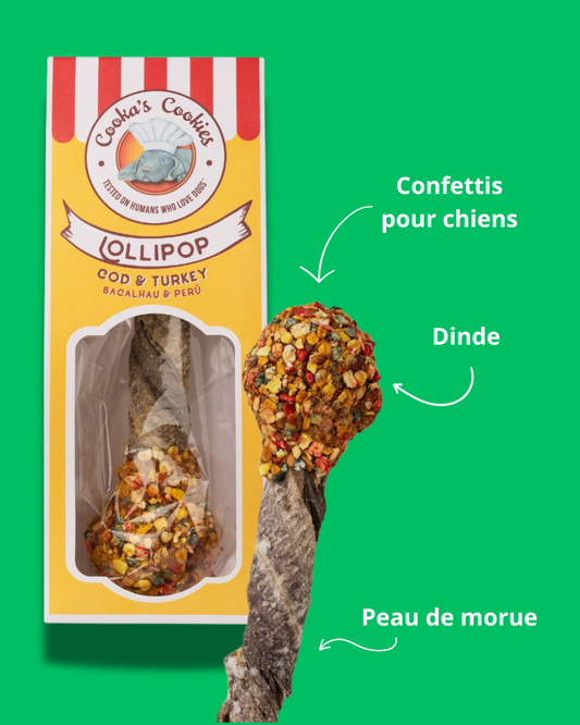 Sucettes Gourmandes 100% Naturelles 🍭