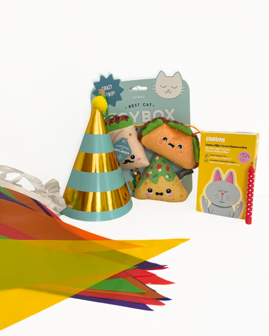 Kit Anniversaire pour Chat 🎁