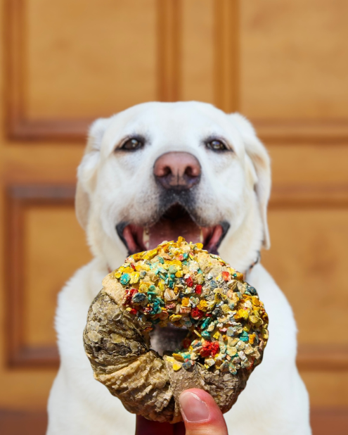 Assortiment Viande & Poisson 🎁