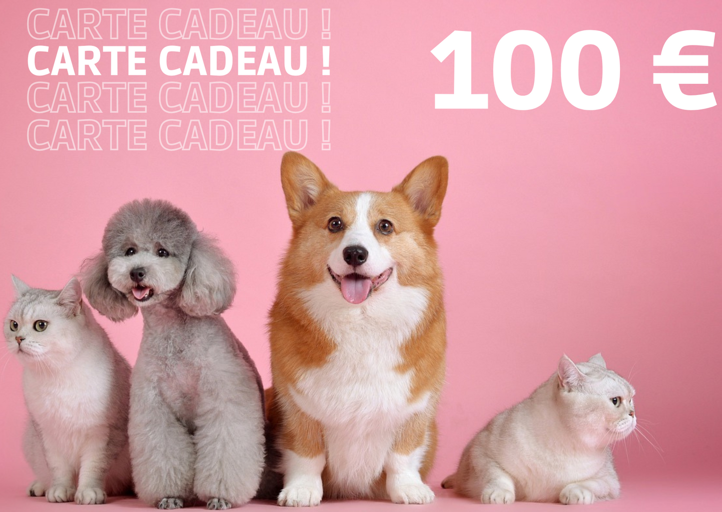 Carte Cadeau Carl & Paco 🎁