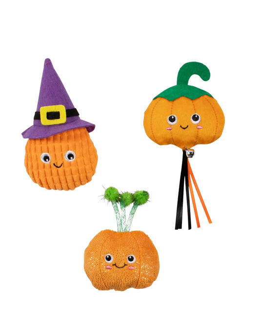 Assortiment de 3 citrouilles – Halloween 🎃