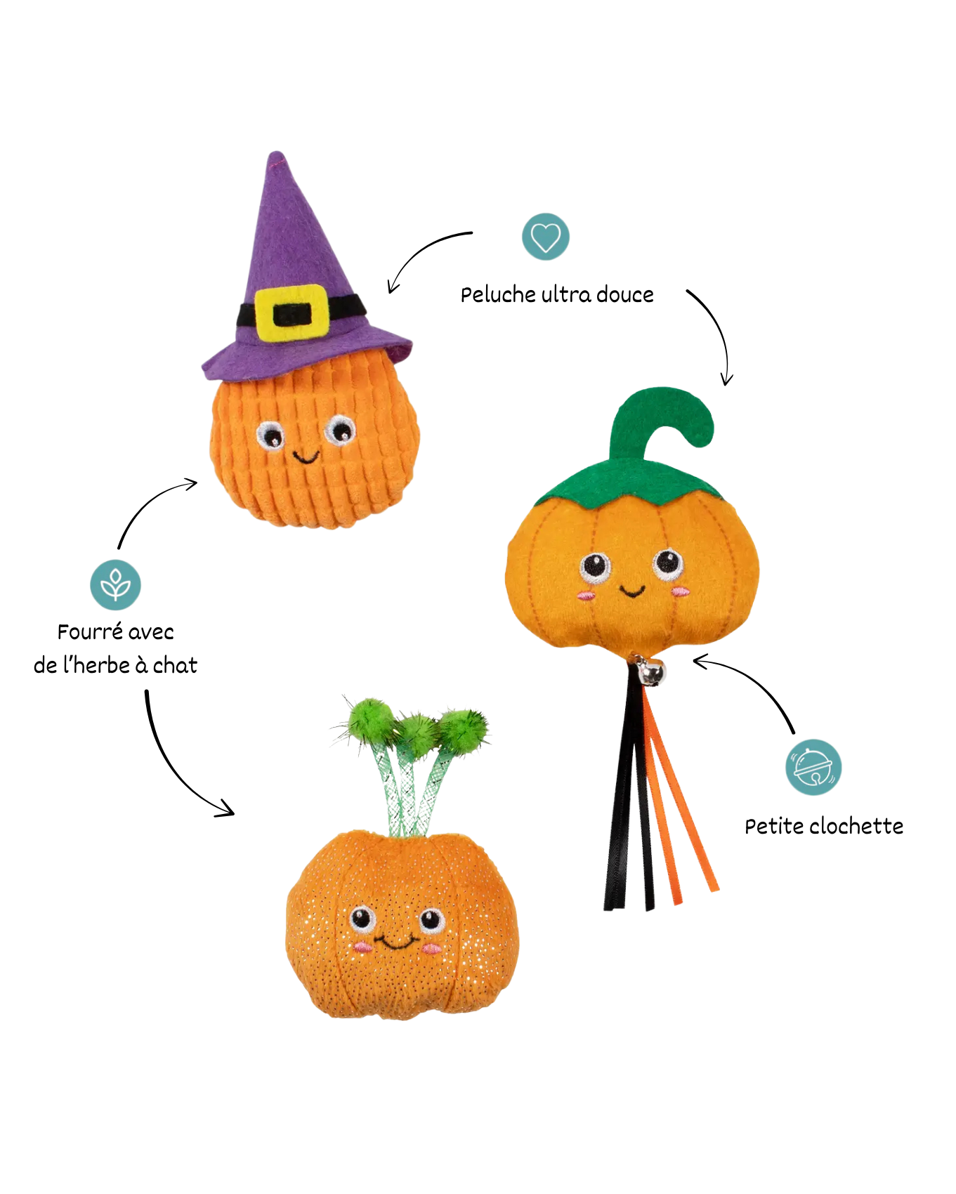 Assortiment de 3 citrouilles – Halloween 🎃