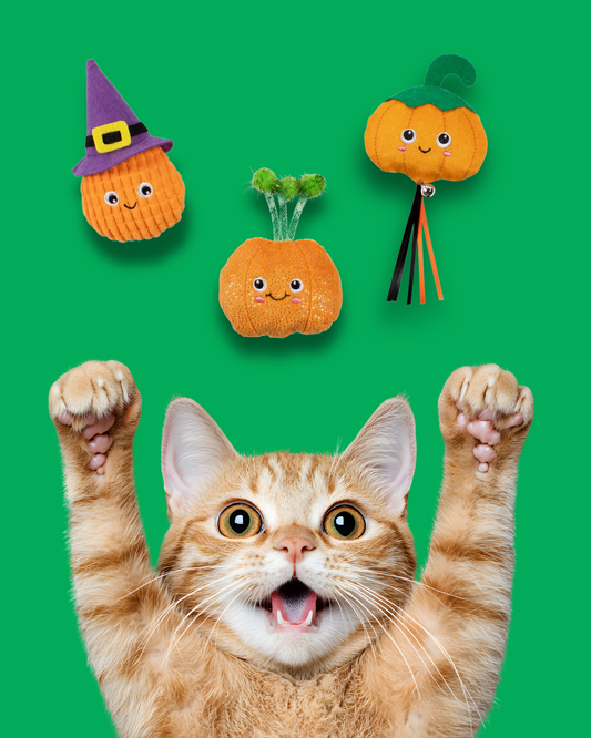 Assortiment de 3 citrouilles – Halloween 🎃