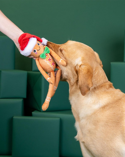 Peluche Bonhomme en Pain d’Épice🎄