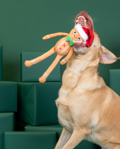 Peluche Bonhomme en Pain d’Épice🎄