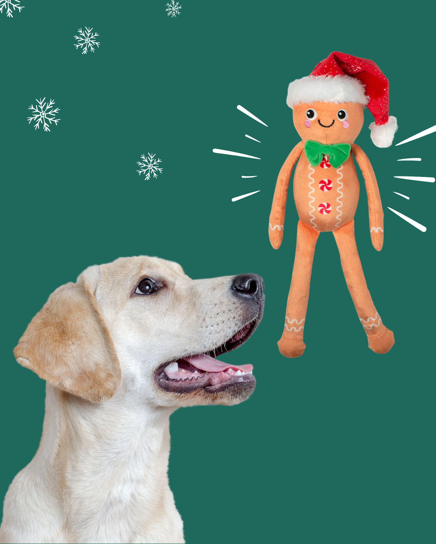 Peluche Bonhomme en Pain d’Épice🎄