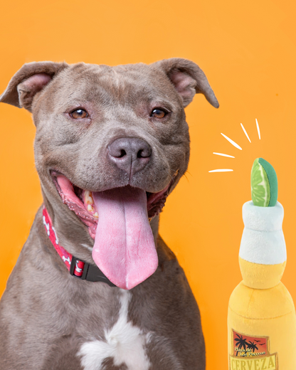 Jouet pour chien en forme de bière Cerveza – Carl & Paco