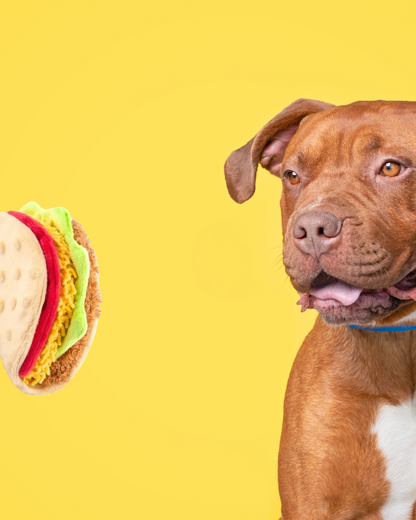 Jouet pour chien en forme de taco démontable – Carl & Paco