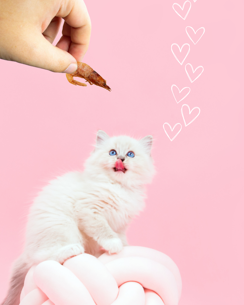 Friandises Naturelles Crevettes Séchées 🦐