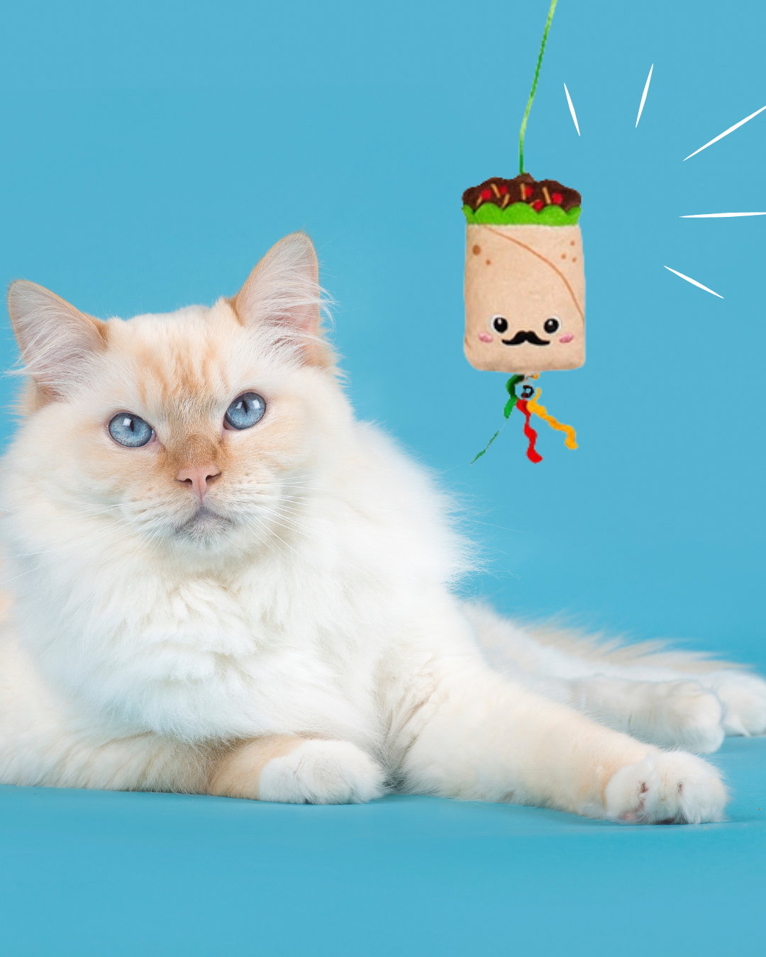 Ensemble de jouets pour chat taco, burrito et chips – Carl & Paco