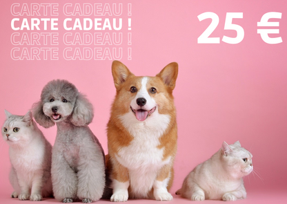 Carte Cadeau Carl & Paco 🎁