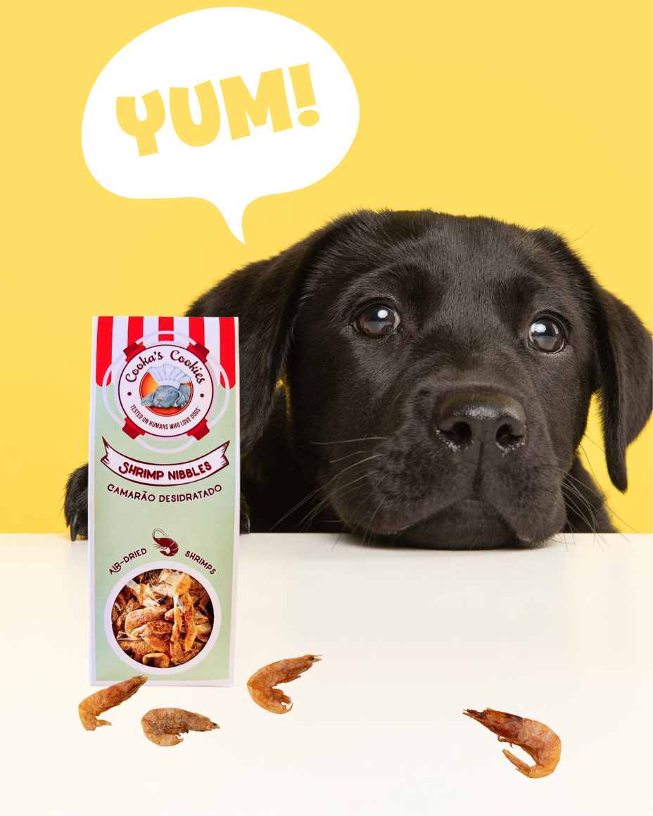 Friandises Naturelles Crevettes Séchées 🦐