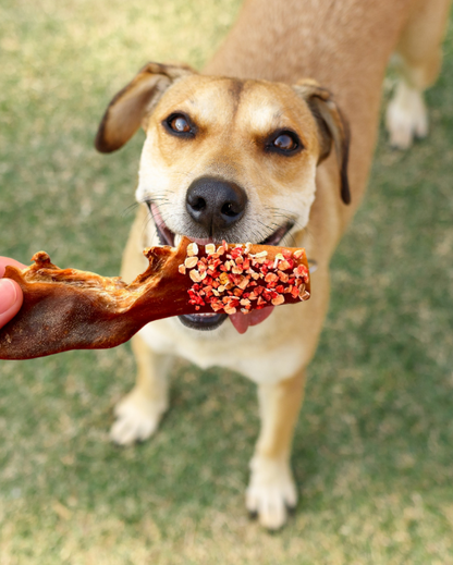 Assortiment Viande & Poisson 🎁