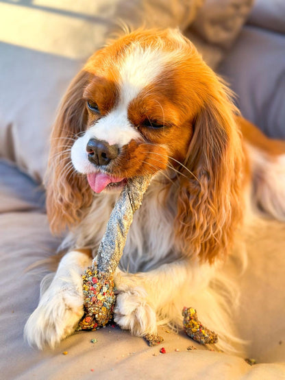 Sucettes Gourmandes 100% Naturelles 🍭