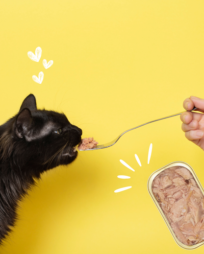 Poitrine de Thon en Morceaux 🐟