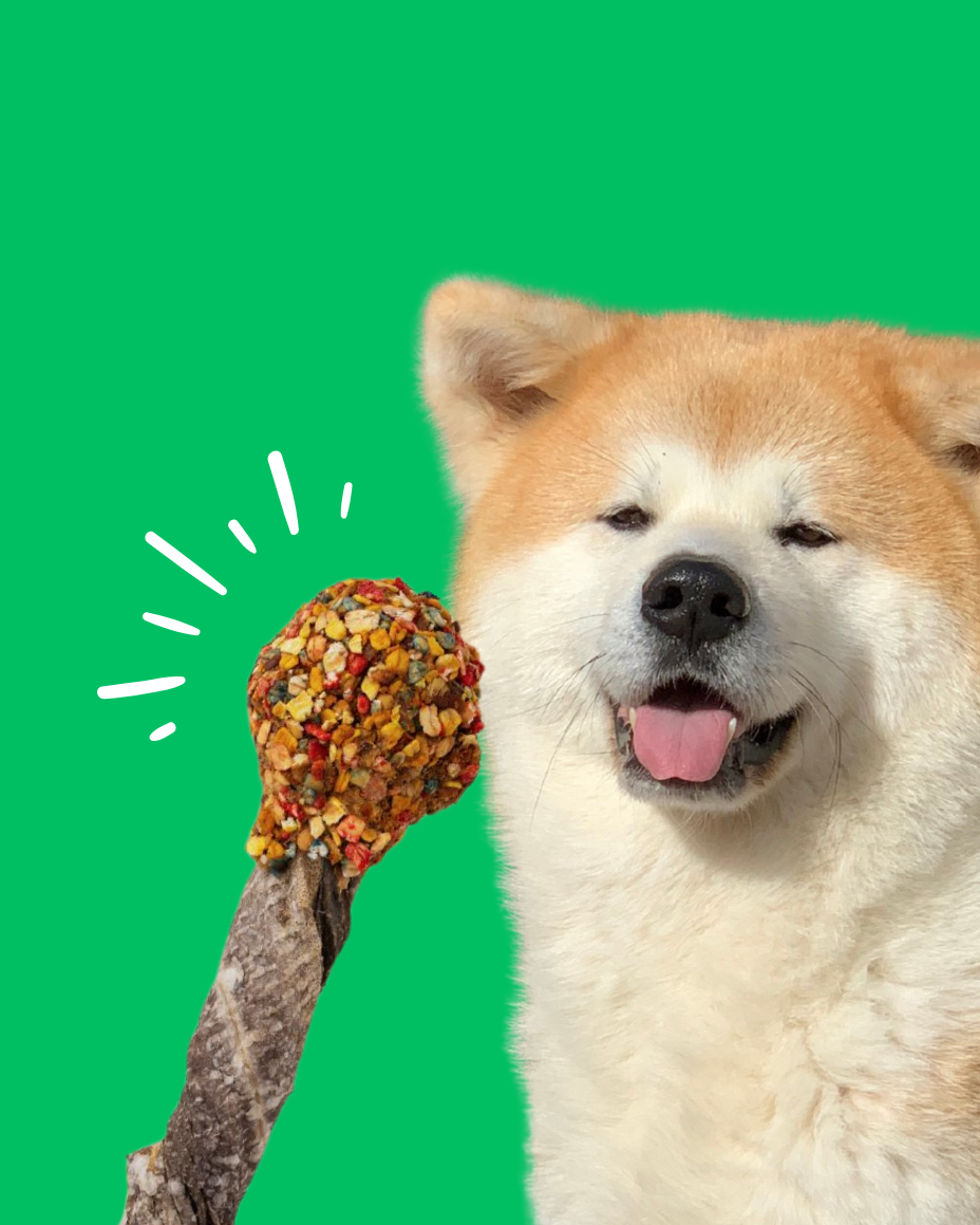 Sucettes Gourmandes 100% Naturelles 🍭