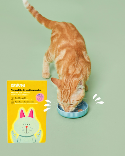 Moules à Lèvres Verte Naturelles 🐟