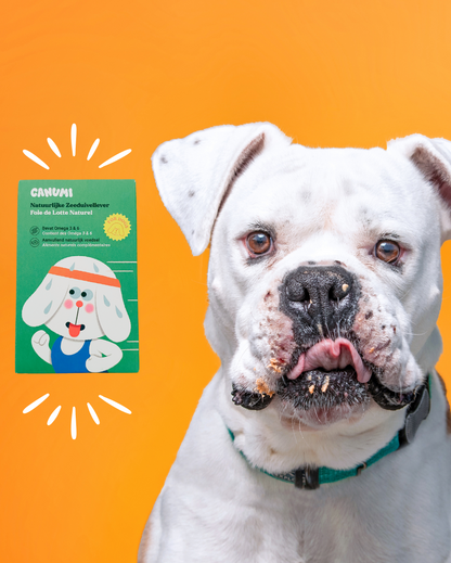 Foie de Lotte Naturel 🐟