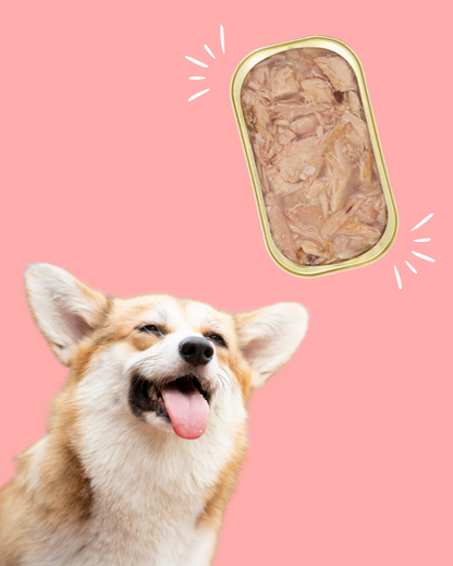 Poitrine de Thon Naturel 🐟