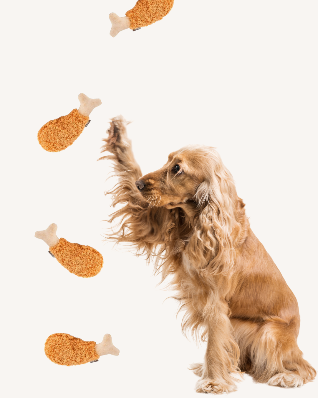 Jouet pour chien en forme de poulet frit – Carl & Paco
