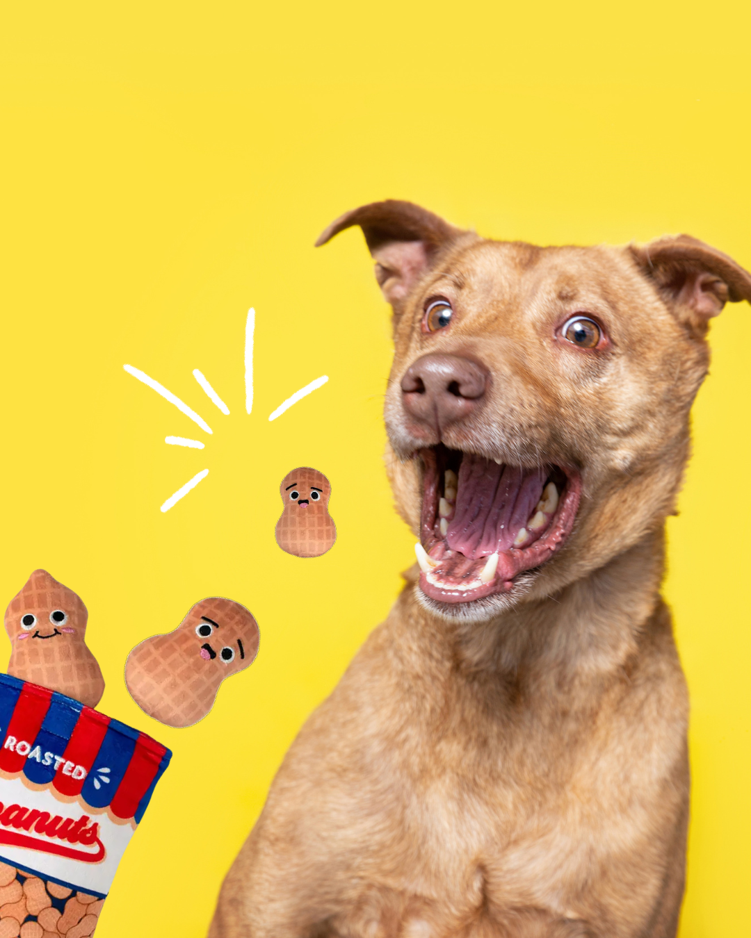 Jouet pour chien en forme de sachet de cacahuètes – Carl & Paco