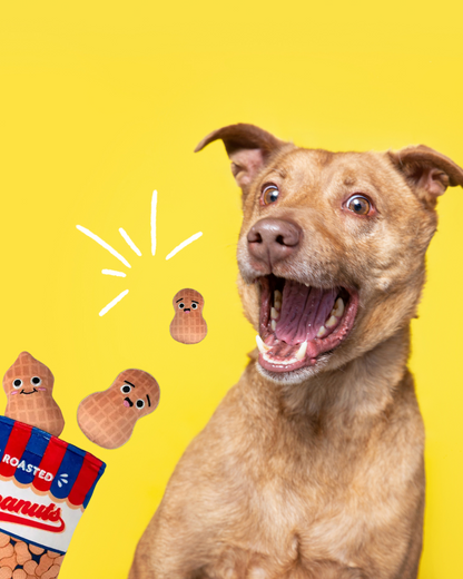 Jouet pour chien en forme de sachet de cacahuètes – Carl & Paco
