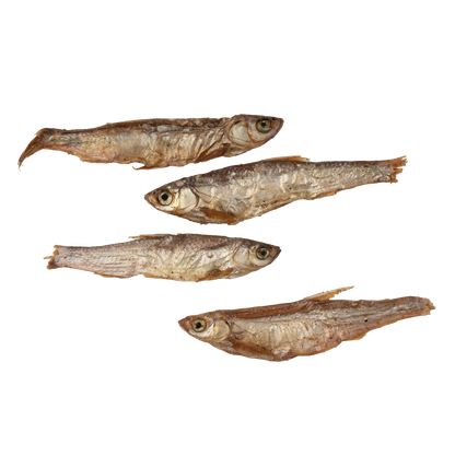 Friandises 100 % Petits Poissons Séchés 🐟