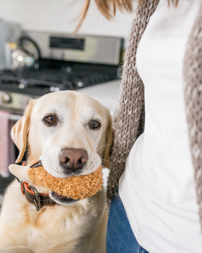 Petit Poulet Frit 🍗