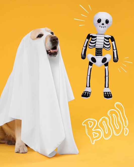 Peluche Monsieur squelette – Halloween 🎃