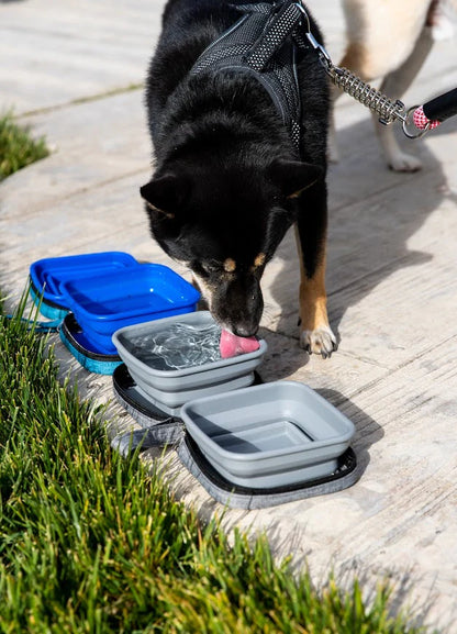 Gamelle De Voyage Pliable
