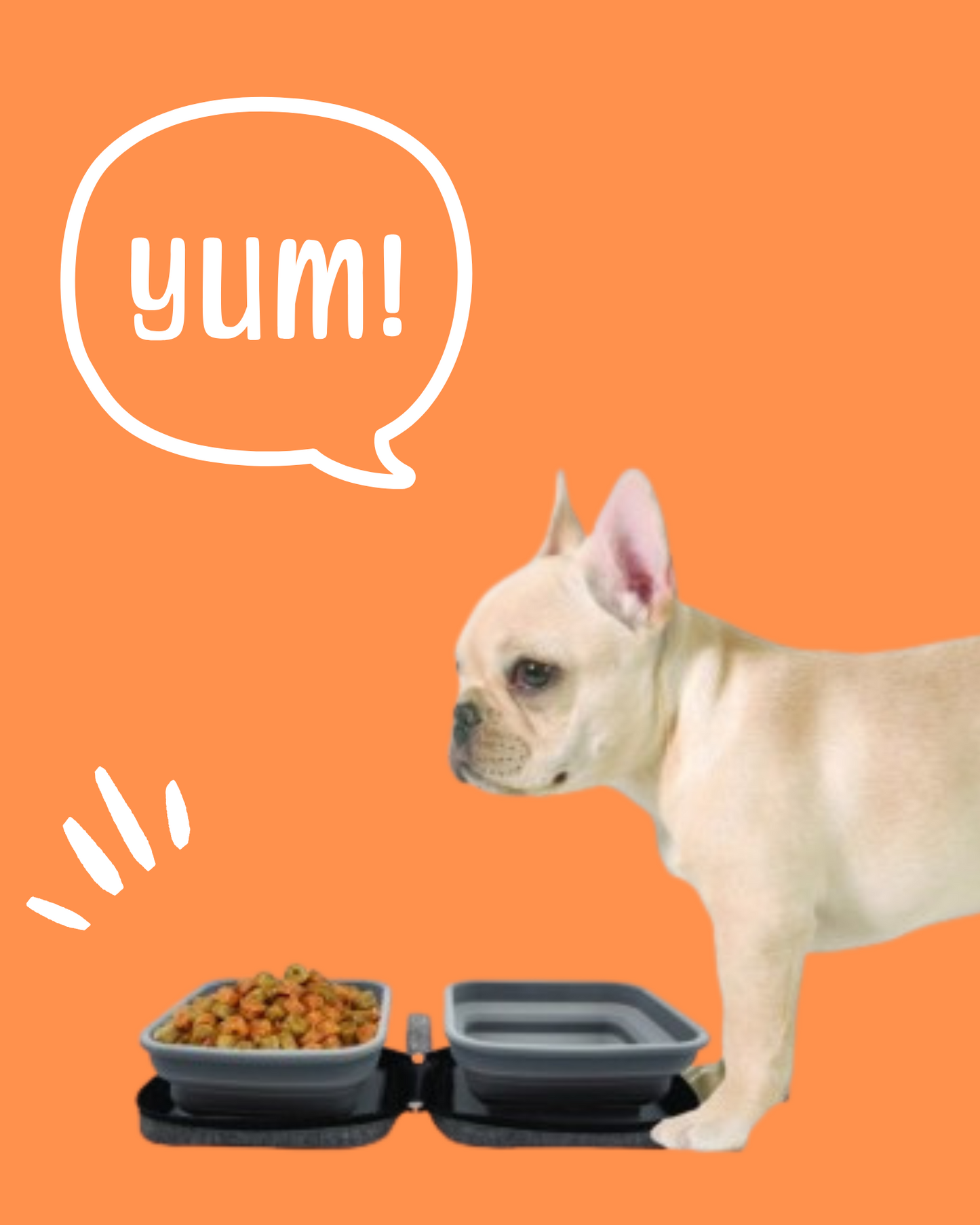 Gamelle De Voyage Pliable