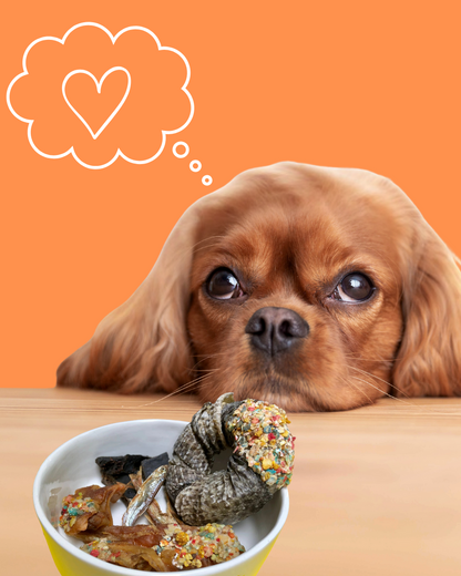 Assortiment Viande & Poisson 🎁